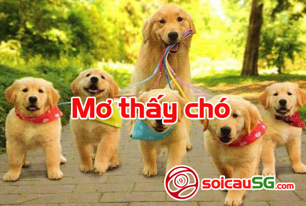 Mo-thay-cho