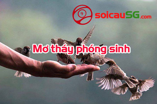 Mo-thay-phong-sinh