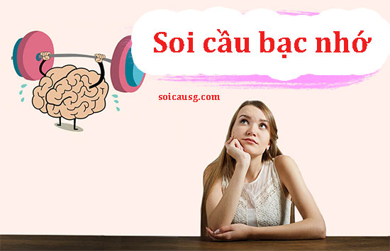 Soi-cau-bac-nho-soicausg