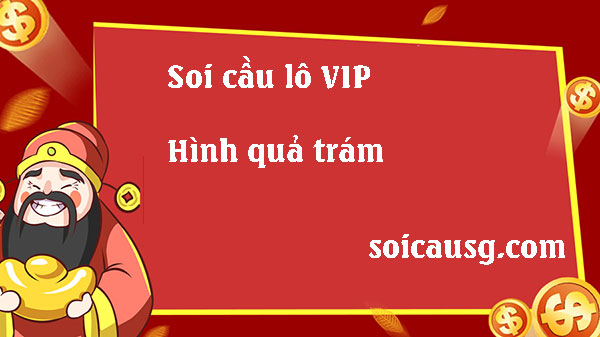 Soi-cau-lo-vip-hinh-qua-tram