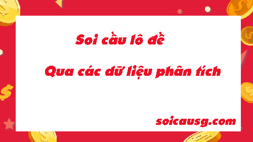 Soi-cau-lo-de