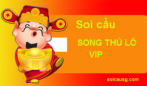 Soi-cau-song-thu-lo-vip